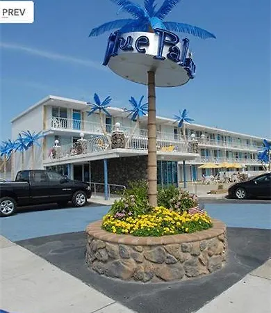 Blue Palms Resort-3