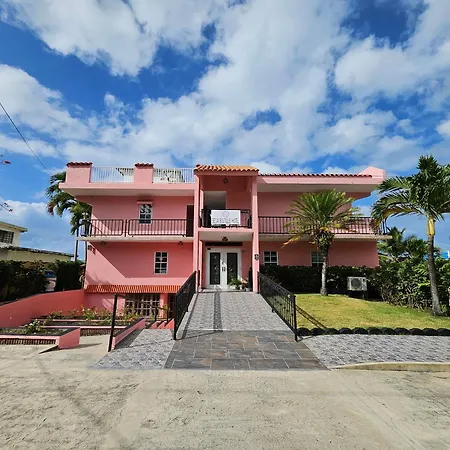 Selva Boutique Hotel - Luquillo Oceanfront Retreat - Adults Only-3