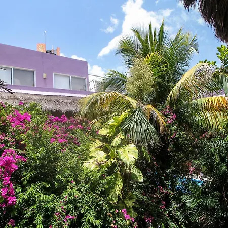 Villas Geminis Boutique Condohotel-2