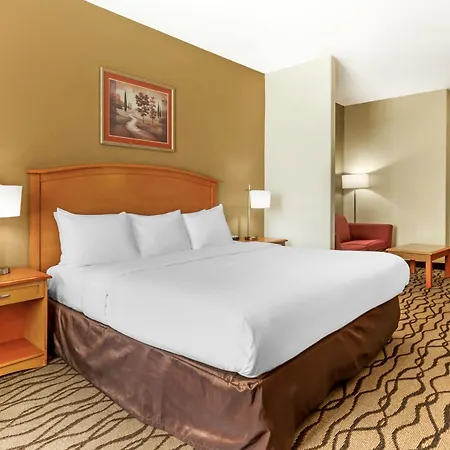 Comfort Inn & Suites Chesapeake - Portsmouth-3
