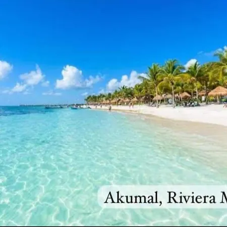 El Ultimo Maya-3