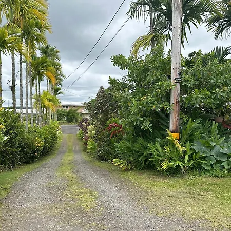 Hawaiian Ohana Home-3