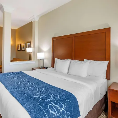 Comfort Suites Near Denver Downtown-2