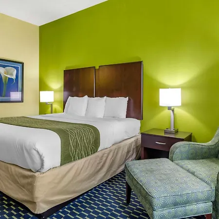 Comfort Inn Athens I - 75-3