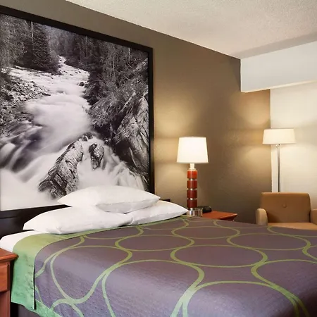 Super 8 By Wyndham Colorado Springs/Afa Area-3