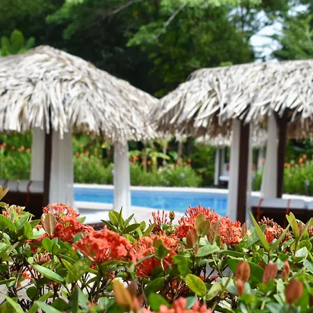 Hotel Playa Espadilla & Gardens-3