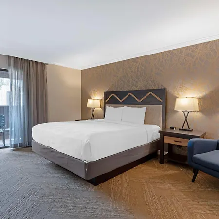 Best Western Plus Inn At The Vines-2