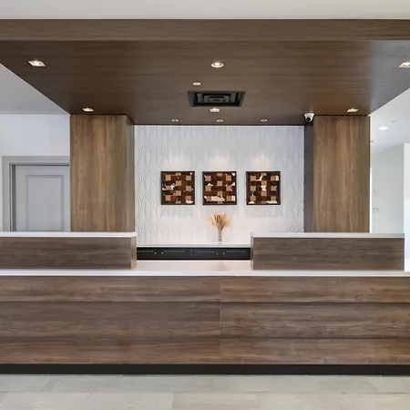 Hilton Garden Inn Dallas Arlington-2