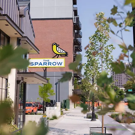 The Sparrow-2