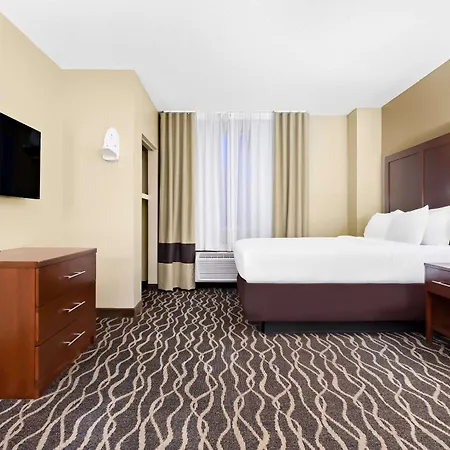 Comfort Suites Tampa Airport North-2