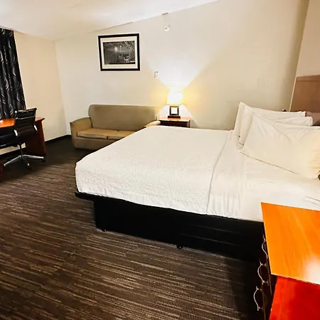 Quality Inn St Paul-Minneapolis-Midway-2