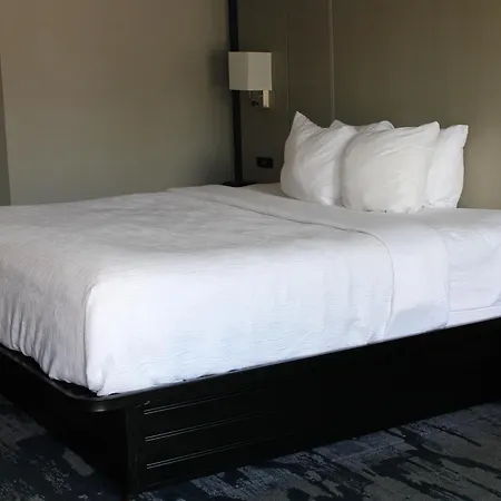 Quality Inn Scottsboro Us-72-Lake Guntersville Area-2