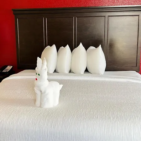 Pier House 60 Clearwater Beach Marina Hotel-3