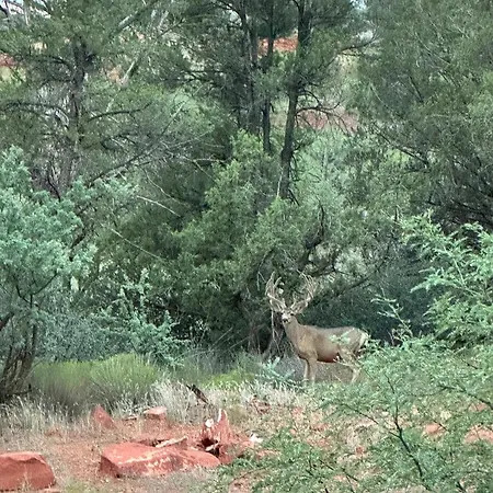 Sedona Cathedral Hideaway Llc-2