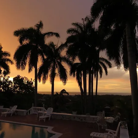 A Piece Of Paradise Montego Bay-3
