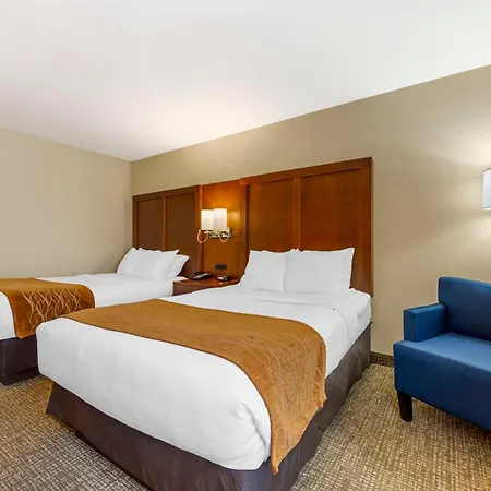 Comfort Inn South - Springfield-3