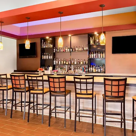 Best Western Saluki Inn-2