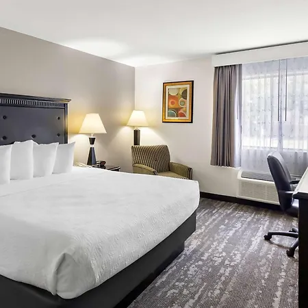 Best Western Saluki Inn-3