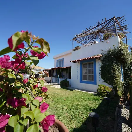 Santerra, Valle De Guadalupe-3