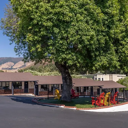 Peach Tree Inn-2