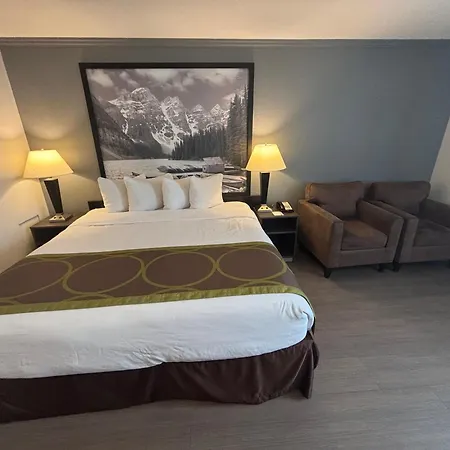Super 8 By Wyndham Macleod Trail Calgary-2