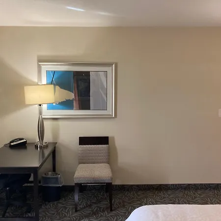 Hampton Inn & Suites Carlsbad-3