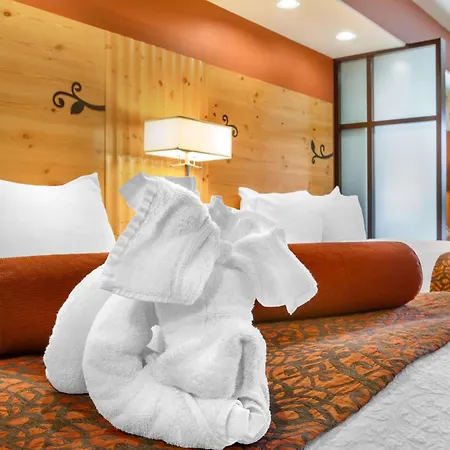 Best Western Premier Ivy Inn & Suites-3