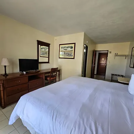 Selva Boutique Hotel - Luquillo Oceanfront Retreat - Adults Only-2
