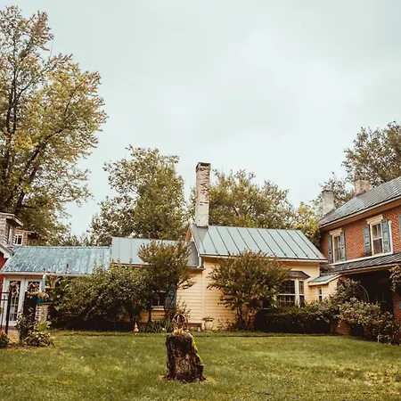 Fallen Tree Farm Bed And Breakfast-2