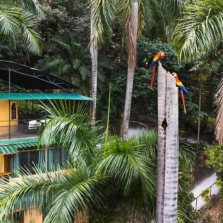 Boutique Hotel Las Cascadas-2