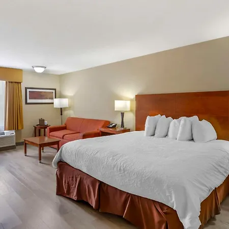 Best Western Cotton Tree Inn-3