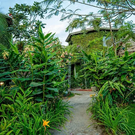 Dan Stam Hotel-2