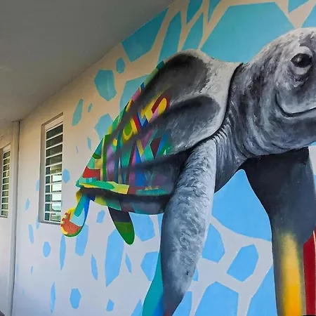 The Surfing Turtle-2