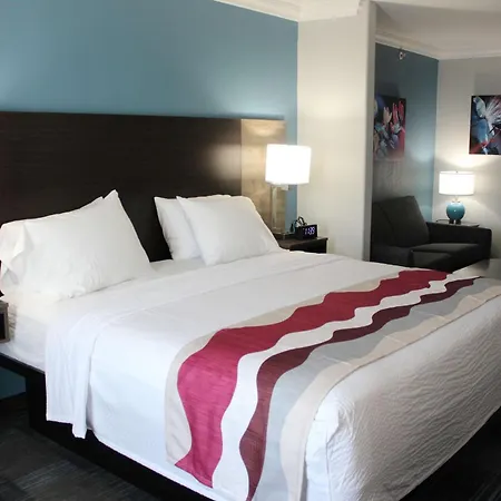 Best Western Medical Center North Inn & Suites Near Six Flags-3