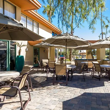 Best Western Date Tree Hotel-3