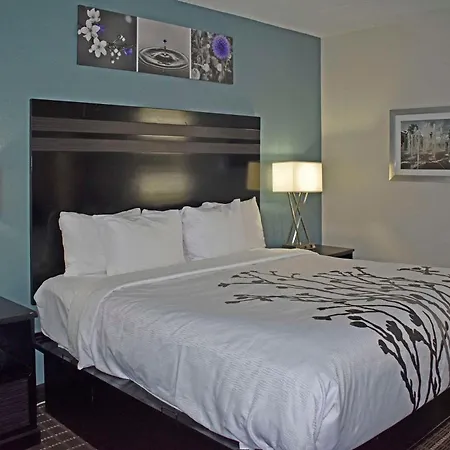 Sleep Inn & Suites West Knoxville-3