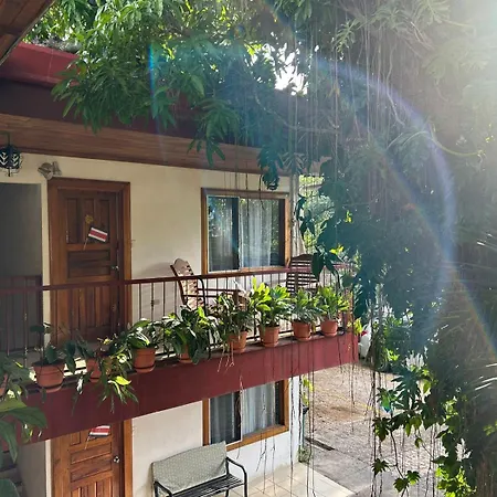 Hotel Javy-3