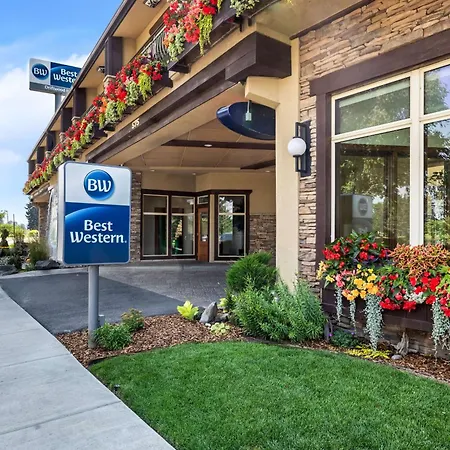 Best Western Driftwood Inn-2
