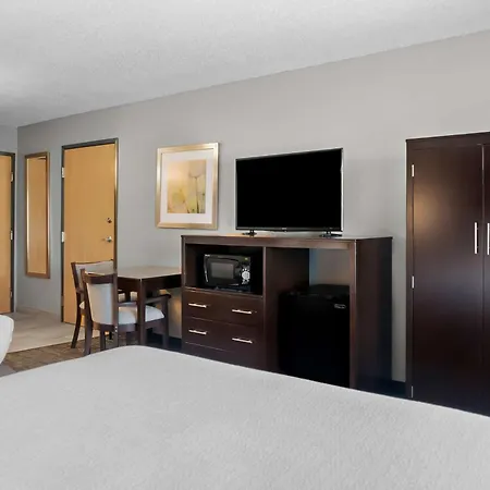 Best Western Plus Flint Airport Inn & Suites-2