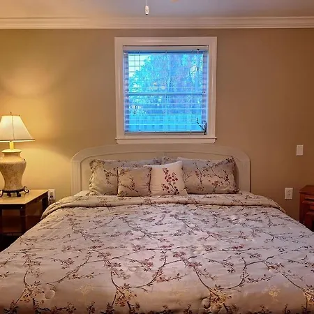 Vacation Home On Alligator Drive-2