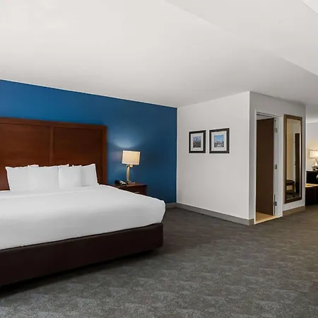 Comfort Inn & Suites Near Tinley Park Amphitheater-3