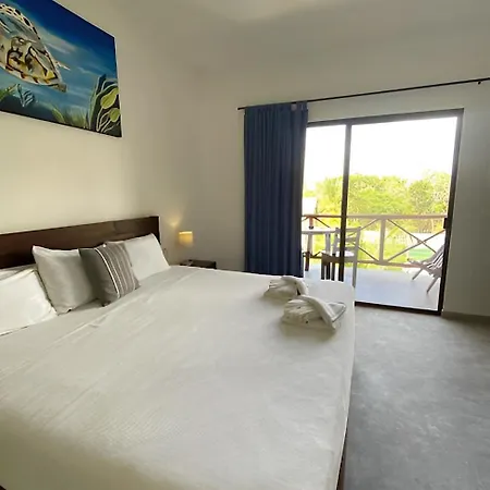 Basic Tulum-2