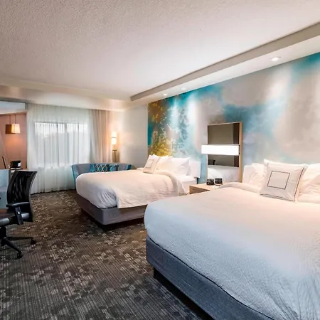 Courtyard By Marriott Tampa Northwest/Veterans Expressway-3