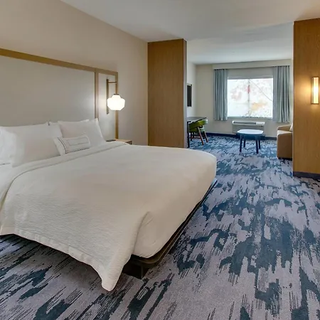 Fairfield Inn And Suites By Marriott Houston Brookhollow-2