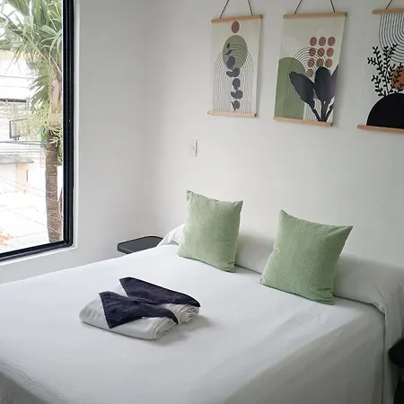 Tauch Cancun Centro-3