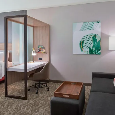 Springhill Suites By Marriott East Lansing University Area, Lansing Area-3