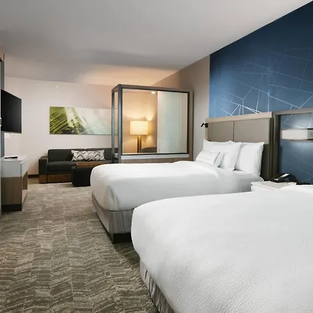 Springhill Suites Dallas Dfw Airport South/Centreport-3