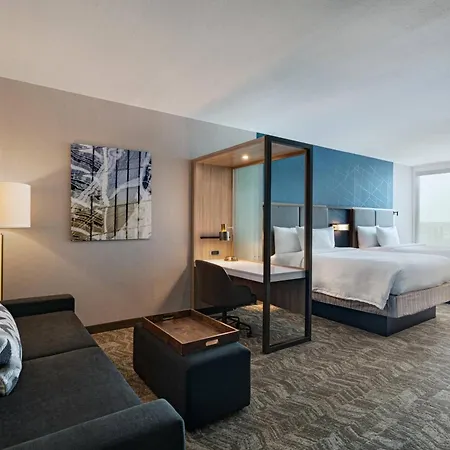 Springhill Suites By Marriott Dallas Richardson/University Area-2