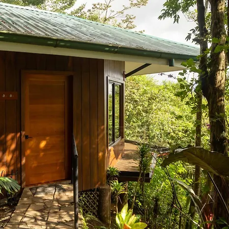 Koora Monteverde A Cloud Forest Hotel By Sandglass-3