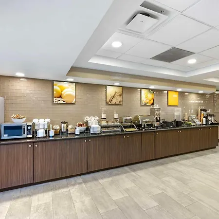 Comfort Inn & Suites Arlington Heights - Schaumburg-3